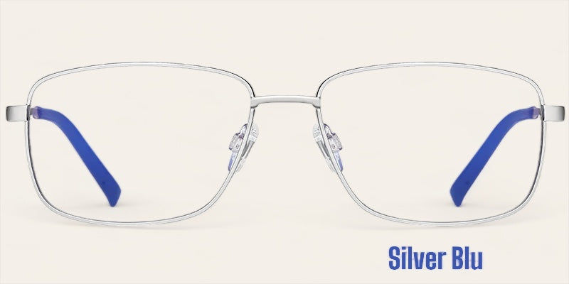 Silver Blu Look